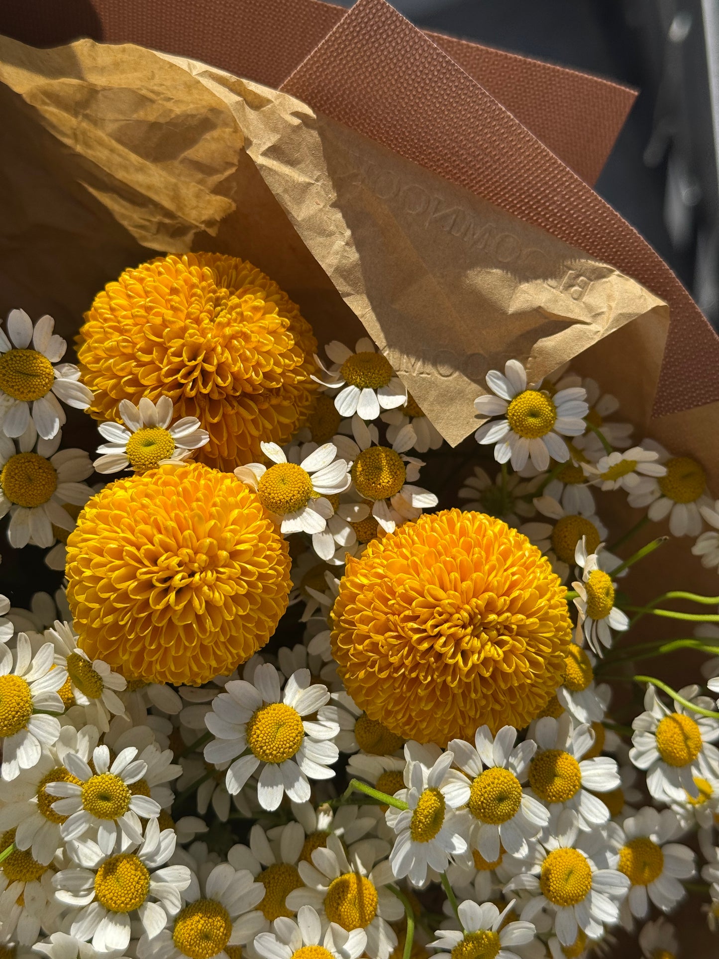 «Wildflower Whisper» chamomile, mums