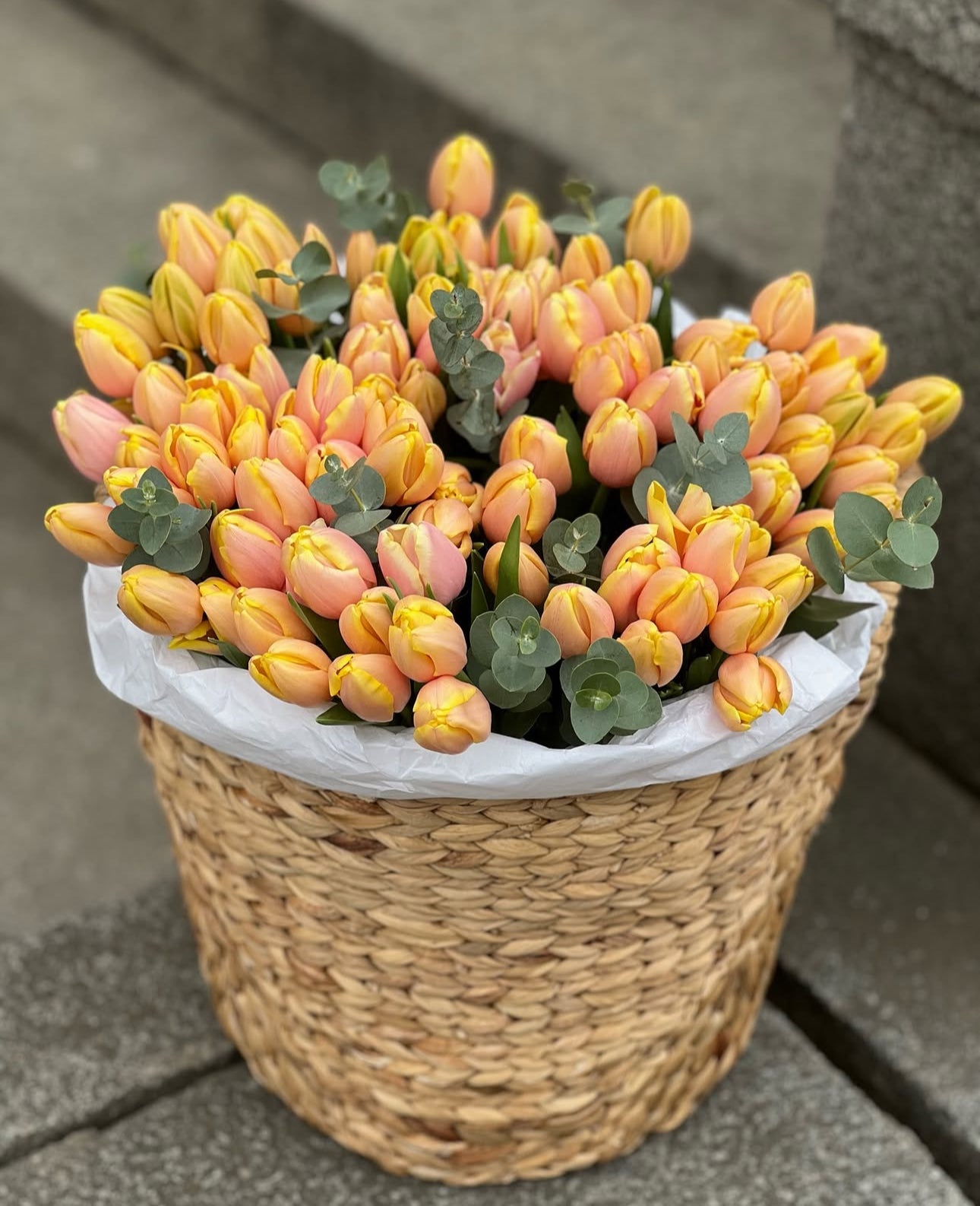 «Basket of 100 tulips»