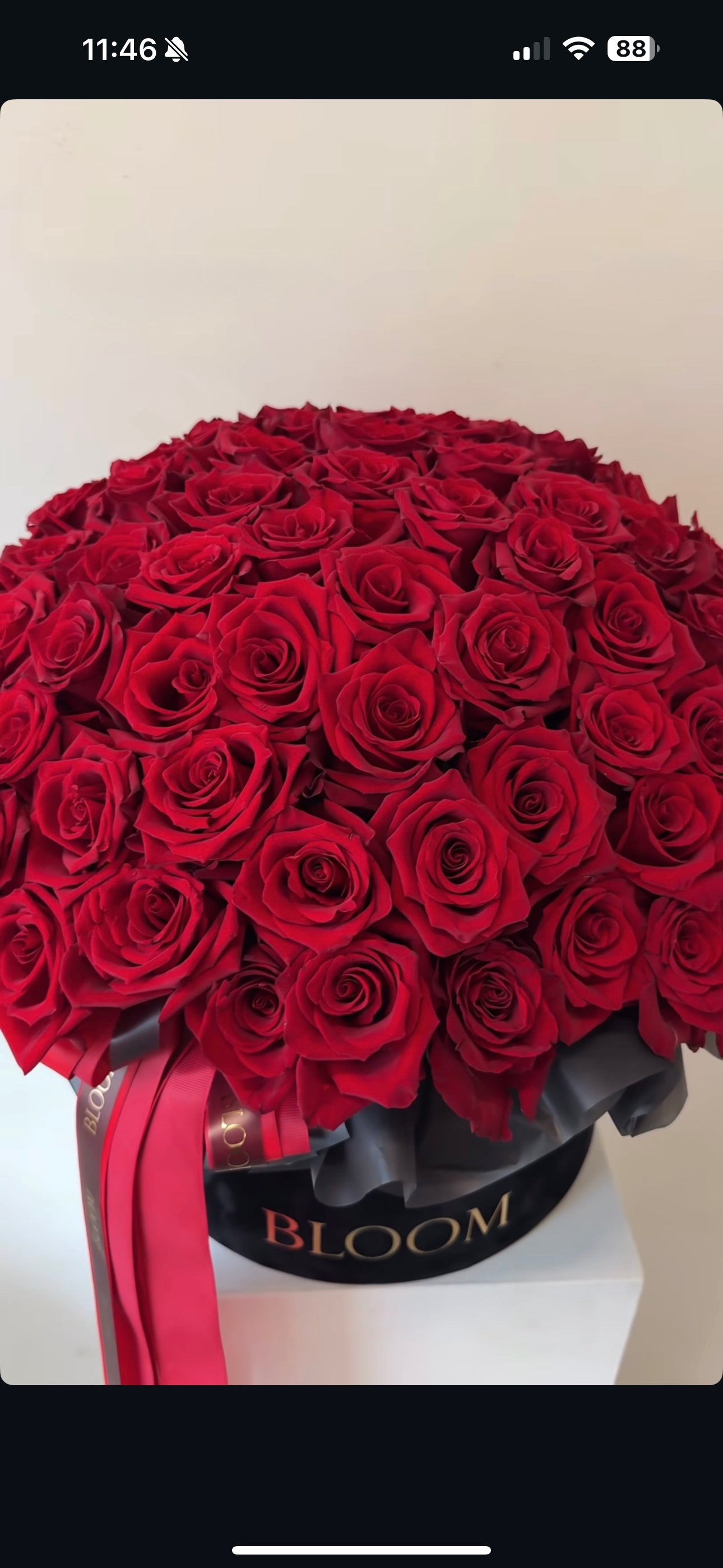 «Red elegance» red roses box