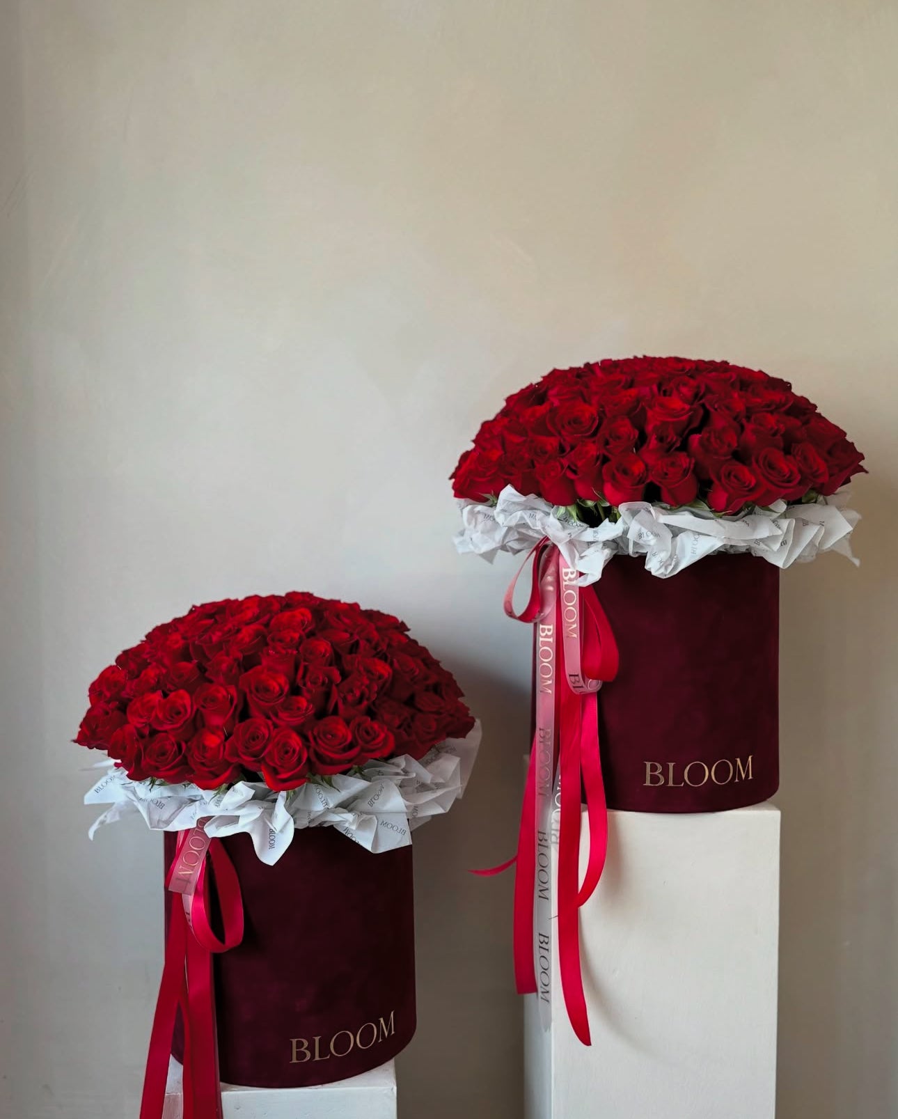 «Red elegance» red roses box