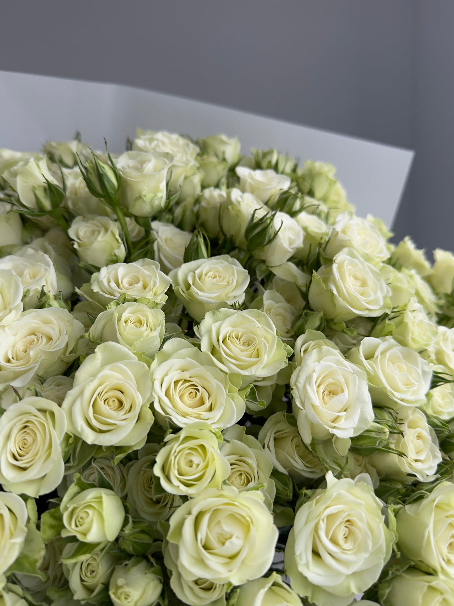 «Mi Amour» white spray roses