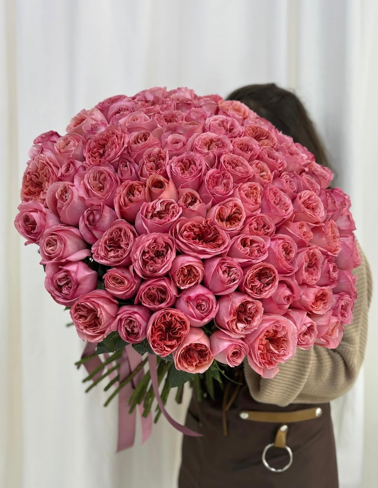 « Pink X-Pression» garden rose