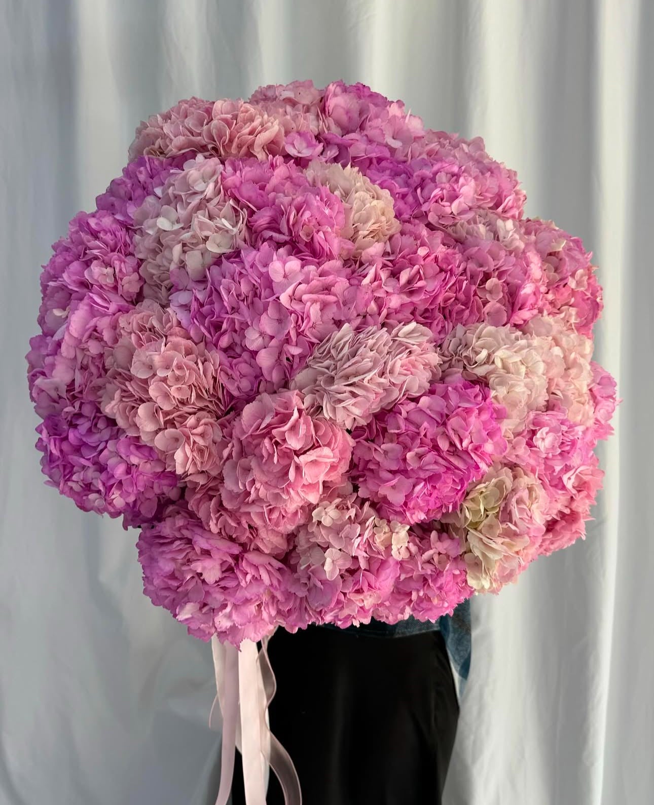 “Happiness” of hydrangeas