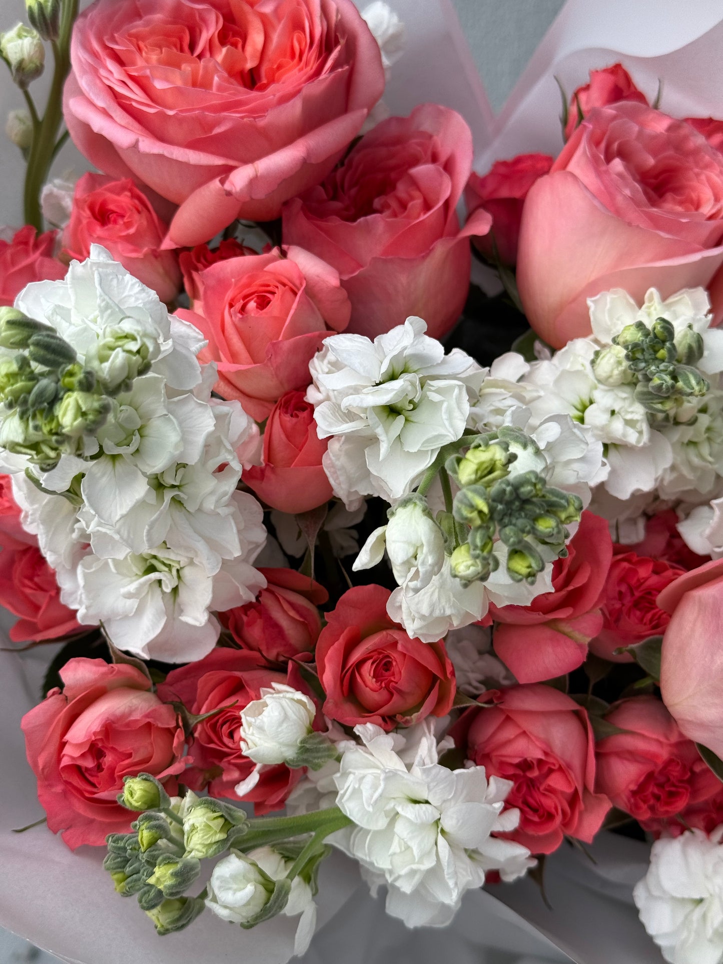 «Barbie» peony roses, stock, spray roses