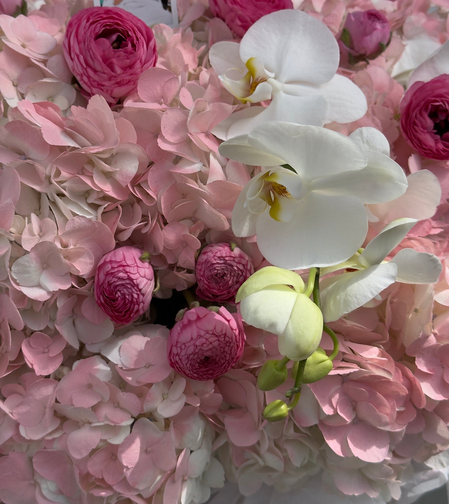 Untitled Mar18_11:04