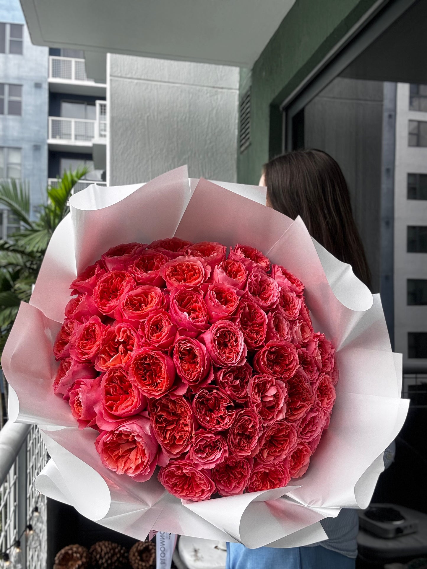 « Pink X-Pression» garden rose