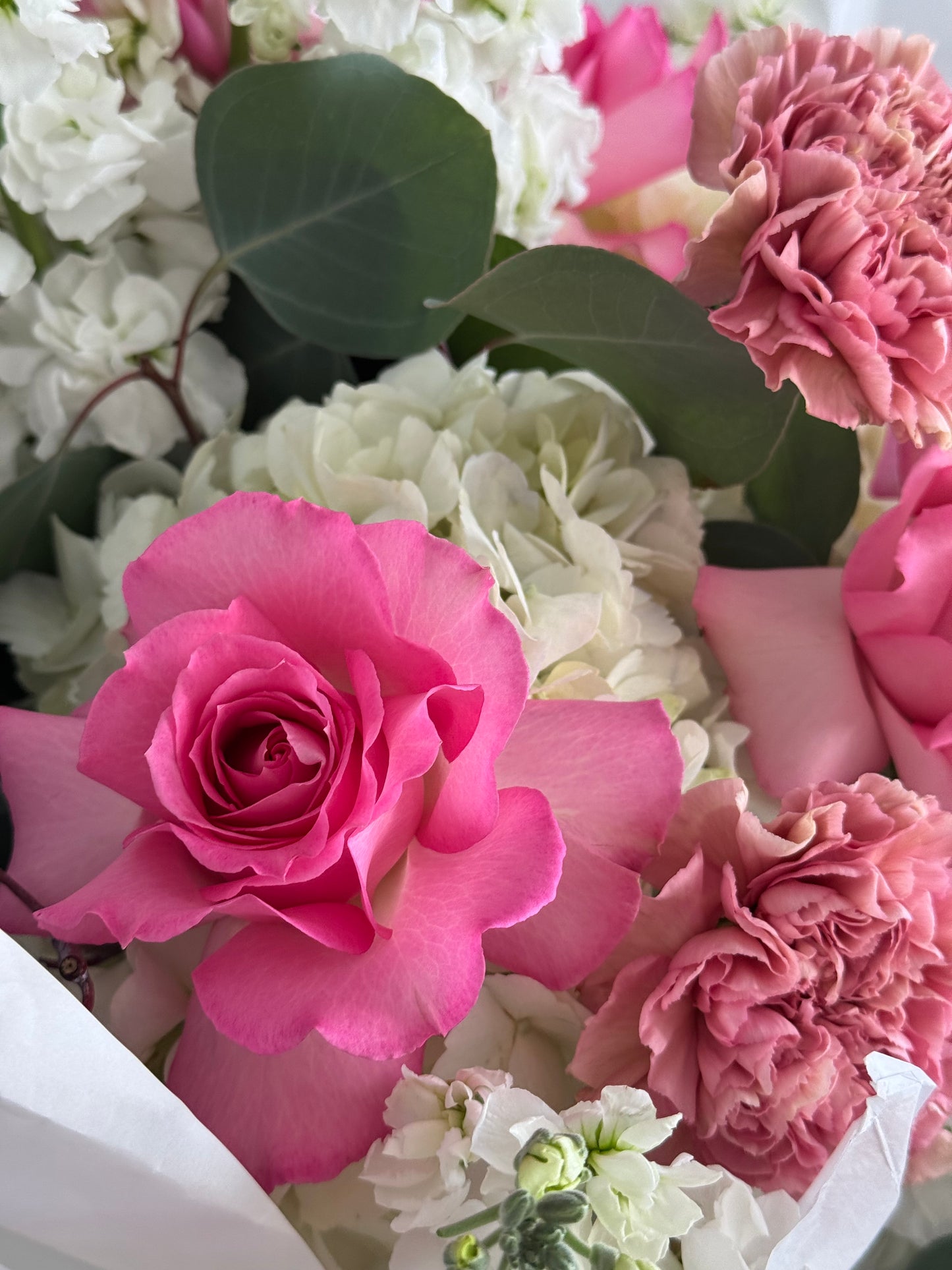 «Blooming grace» carnation, hydrangeas, roses, eucalyptus, stock