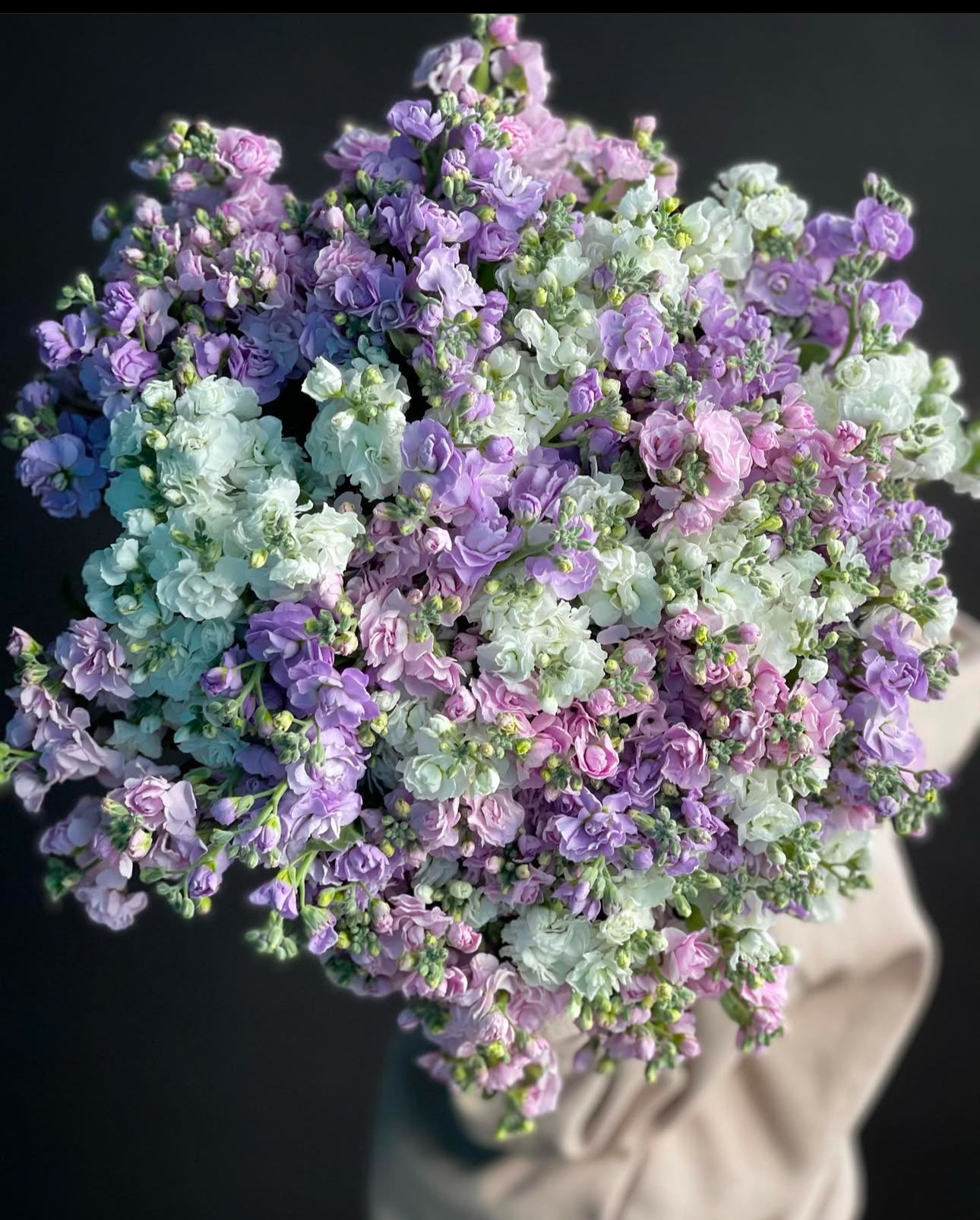 «Purple garden» stock