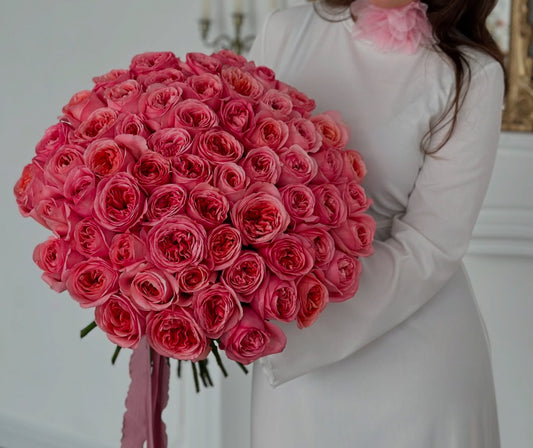 « Pink X-Pression» garden rose