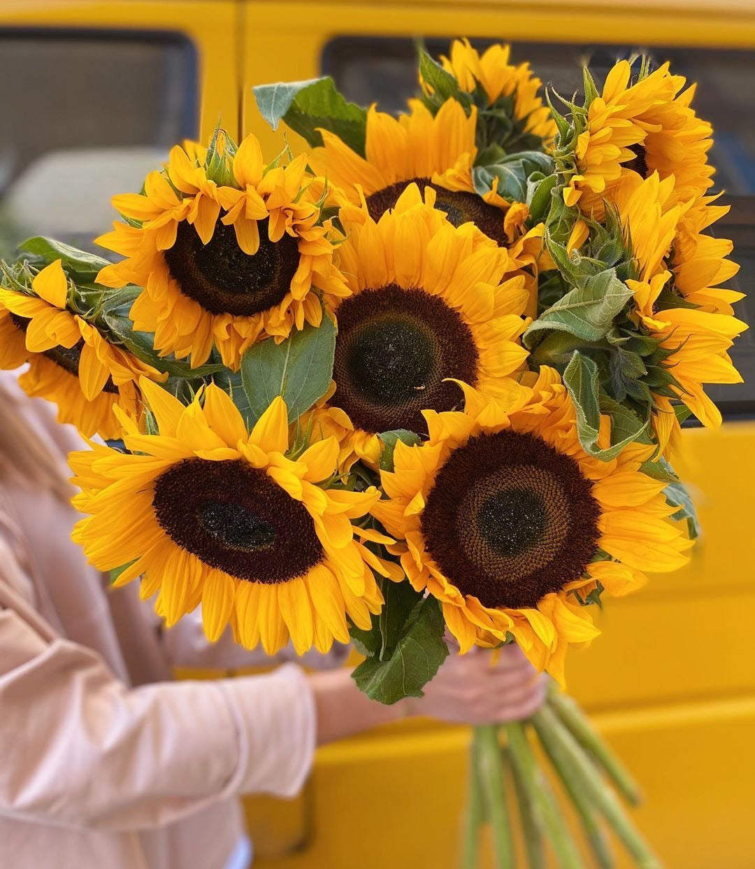 «Sunflowers» bouquet