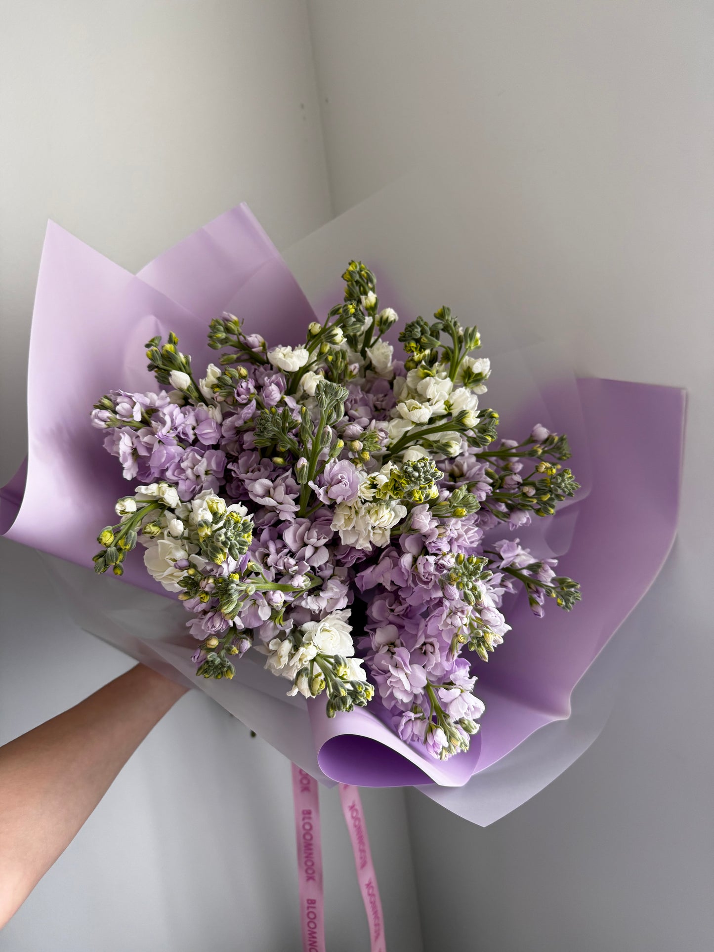 «Purple garden» stock