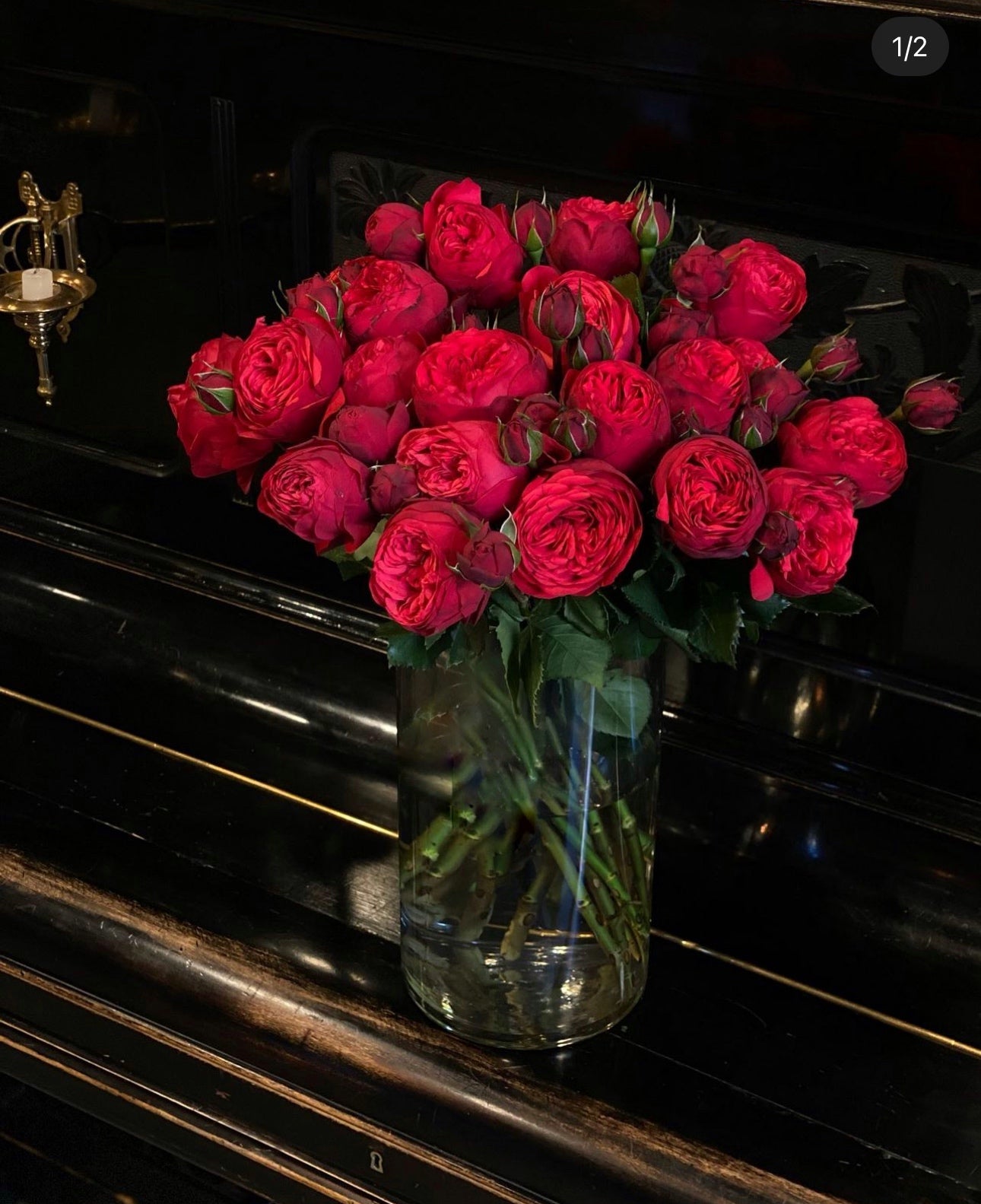 «Red piano» peony roses