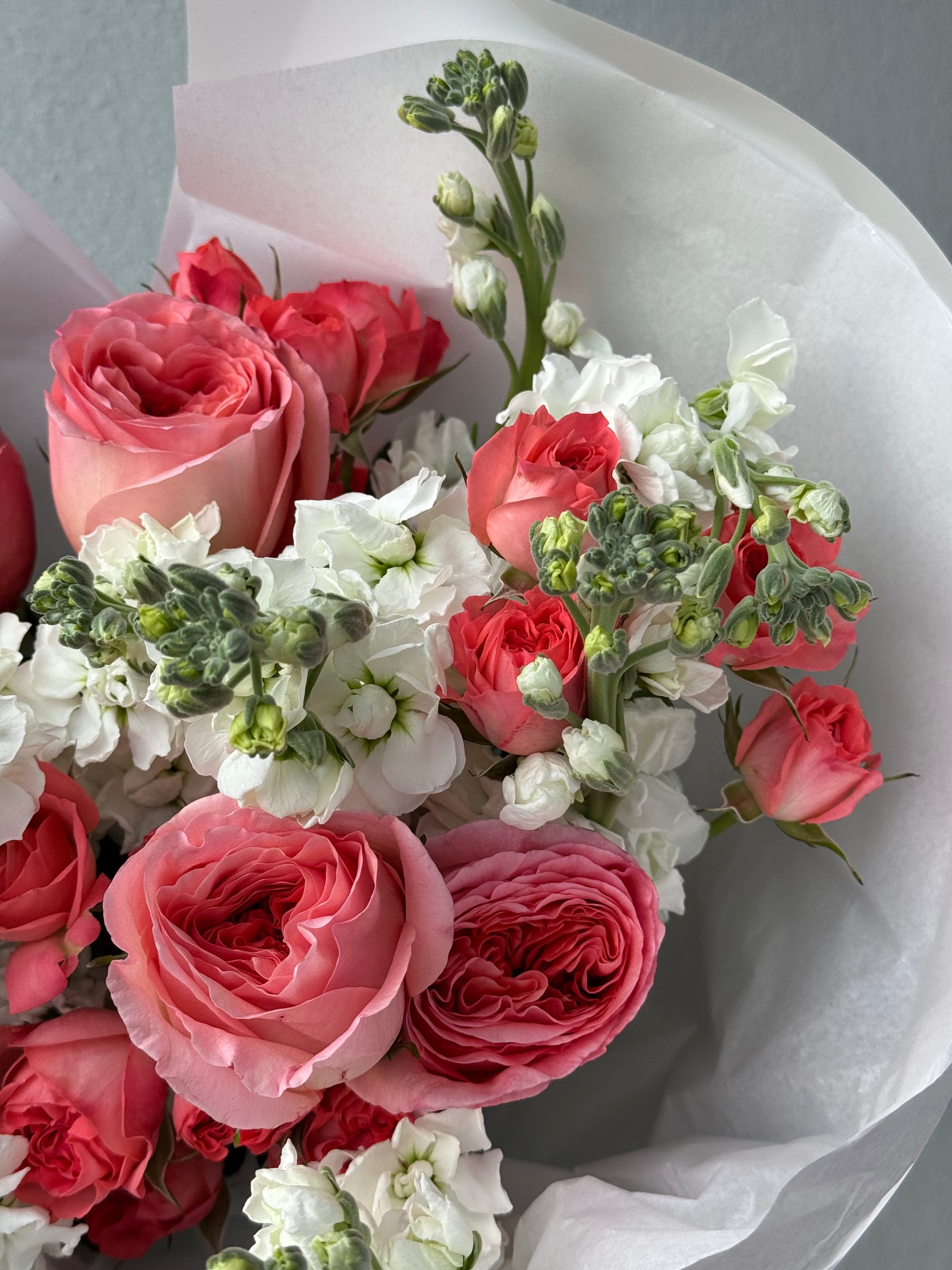 Barbie» peony roses, stock, spray roses – BLOOMNOOK
