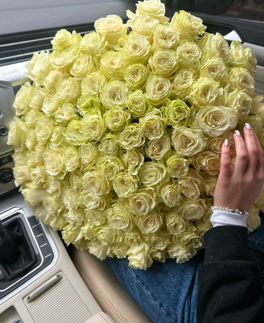 «Ivory Elegance» white roses
