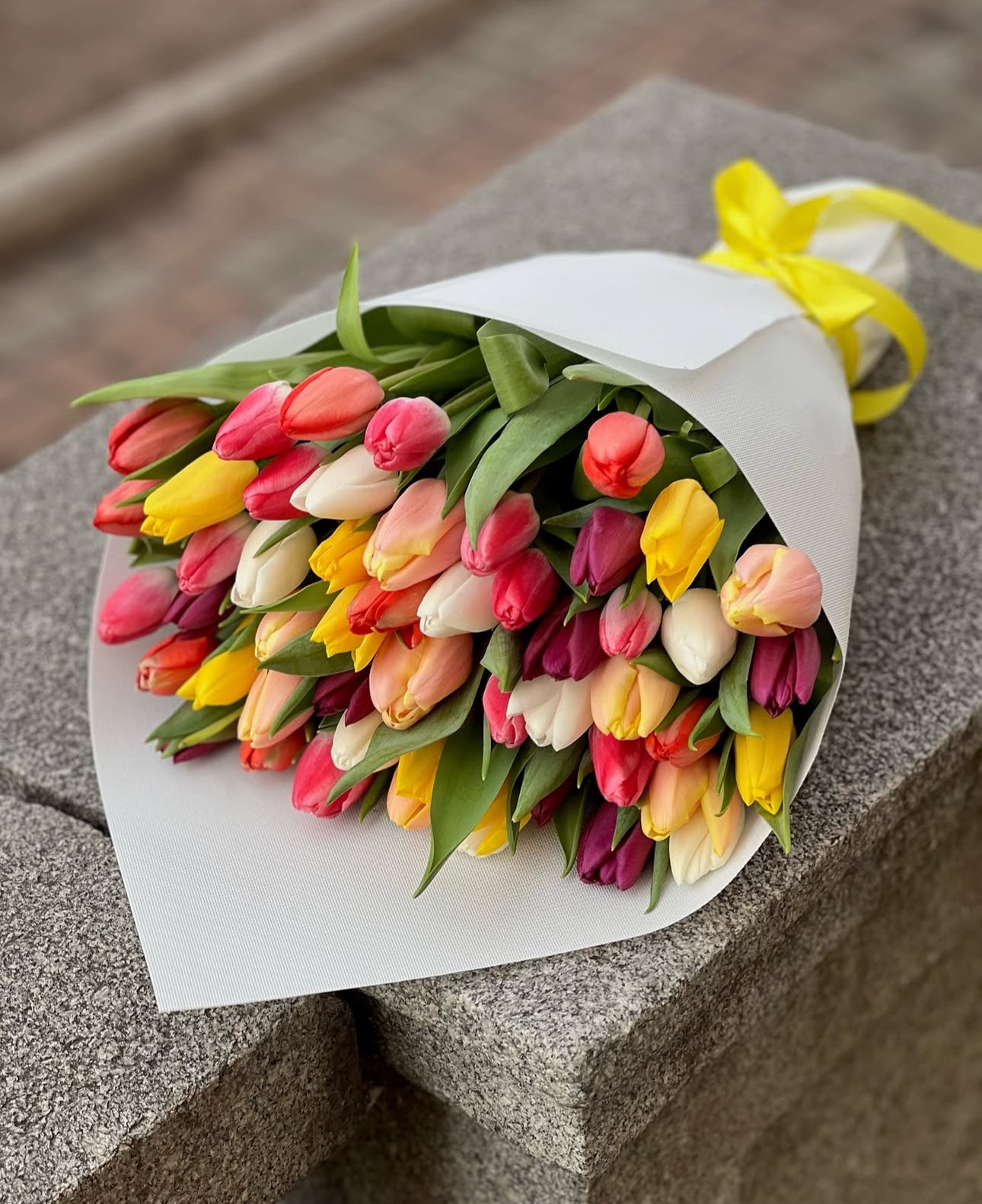 «Mix of tulips»
