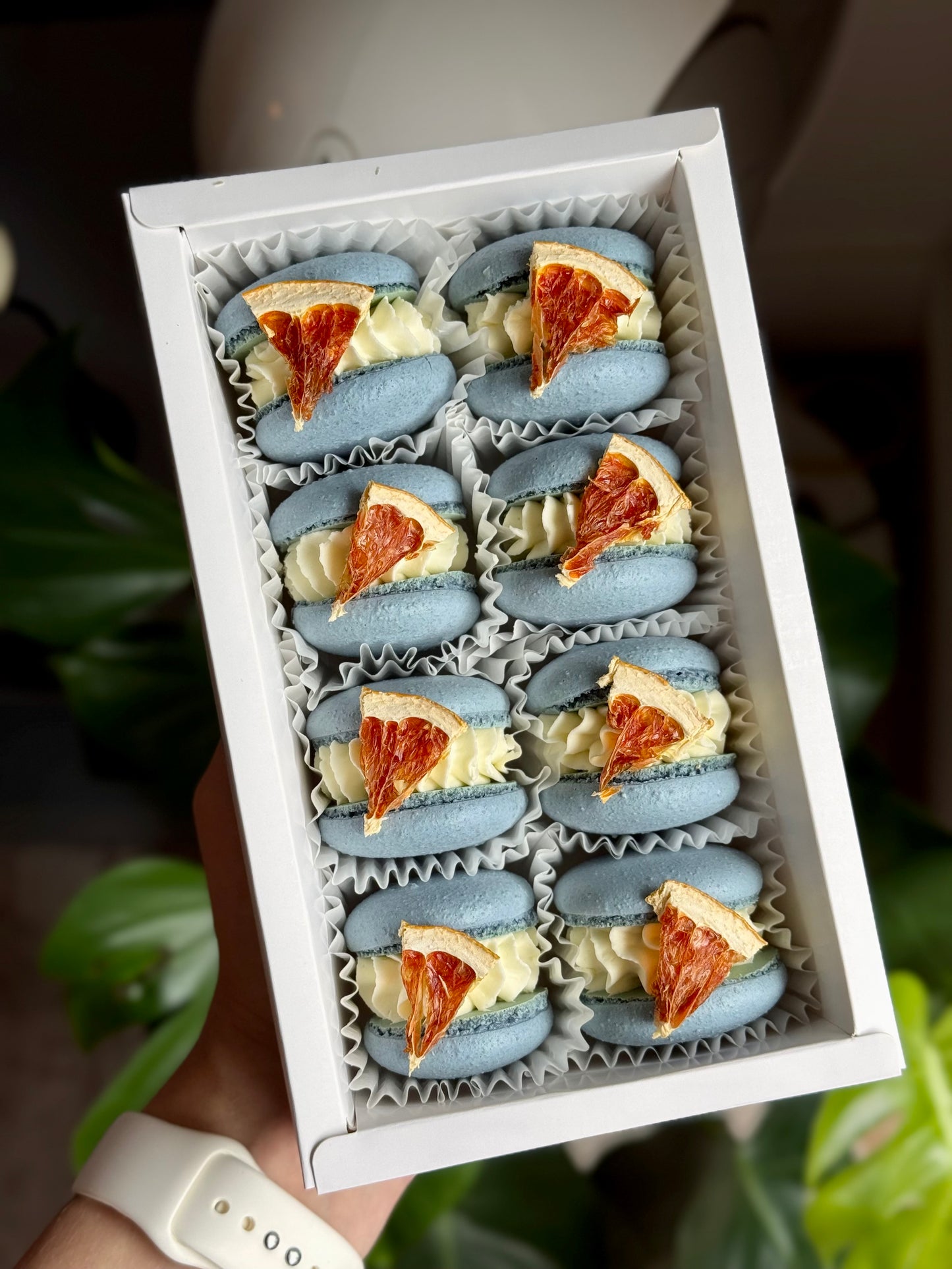 «Fresh blue» macaroons