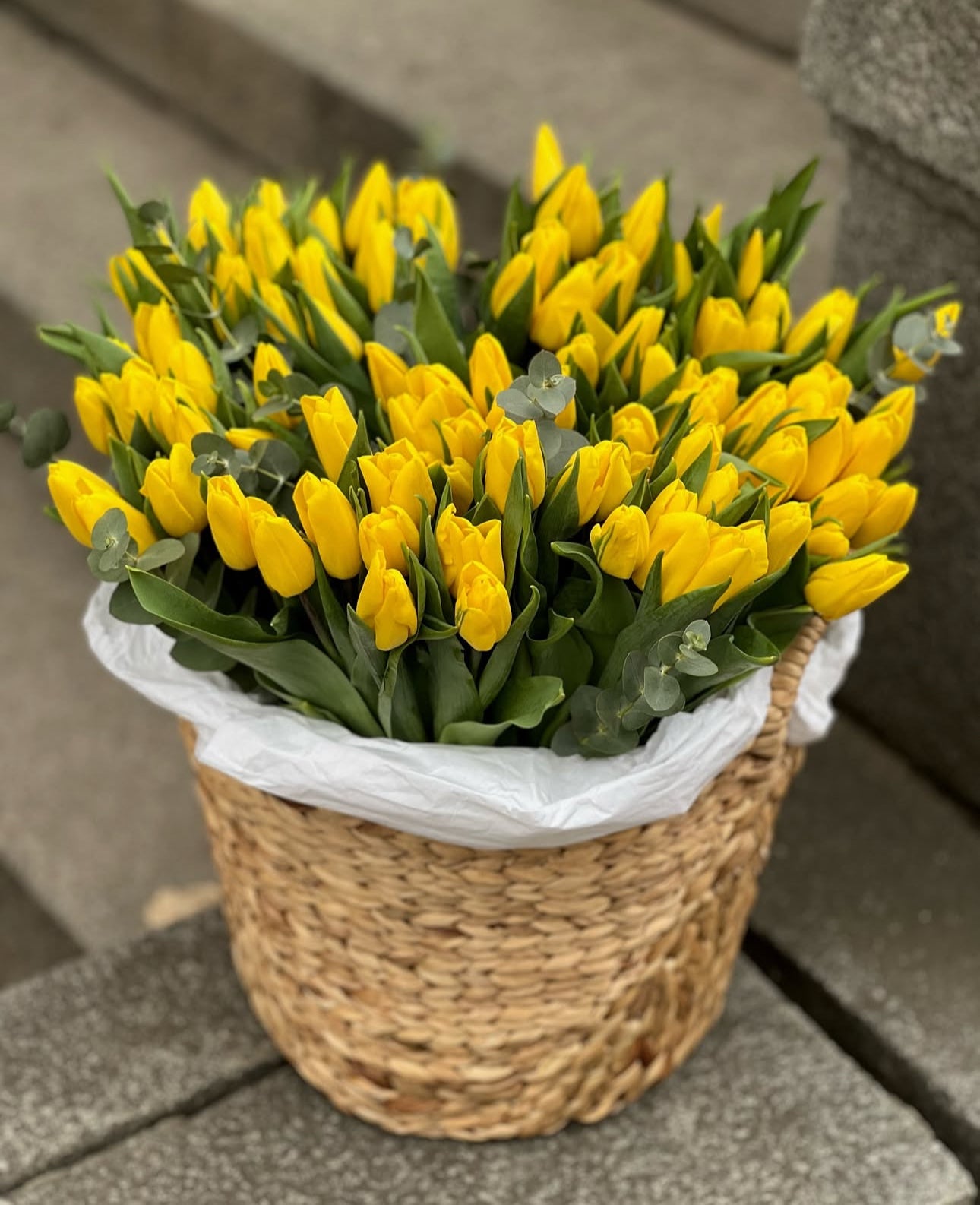 «Basket of 100 tulips»