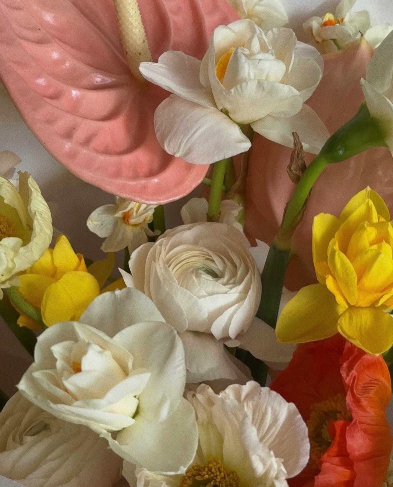 «Spring Bouquet» ranunculus, poppy, anthurium