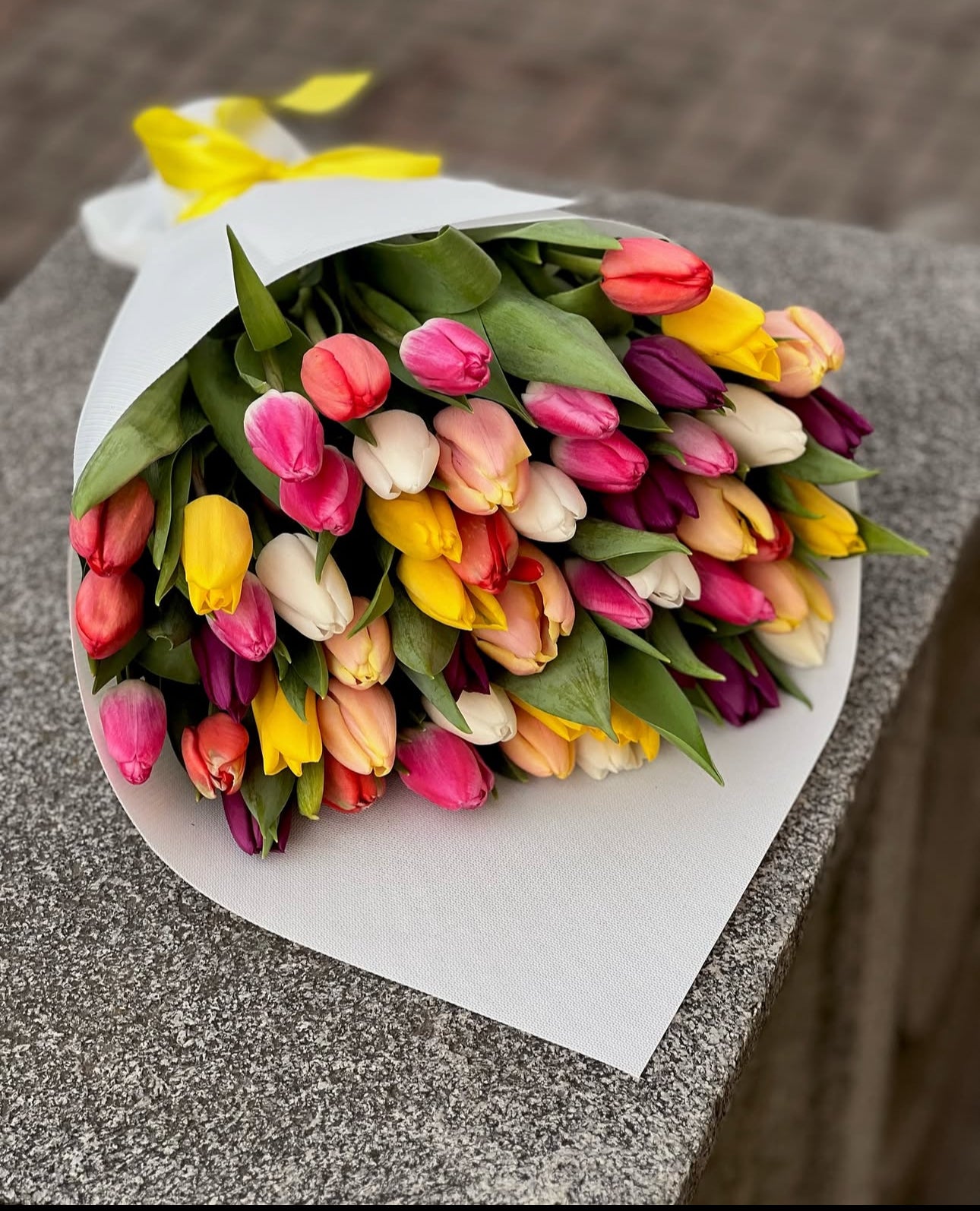 «Mix of tulips»