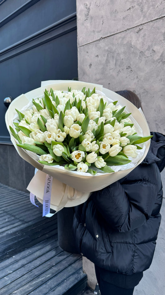 «White tulips»