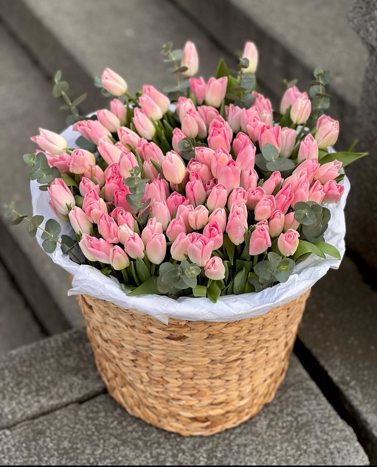 «Basket of 100 tulips»