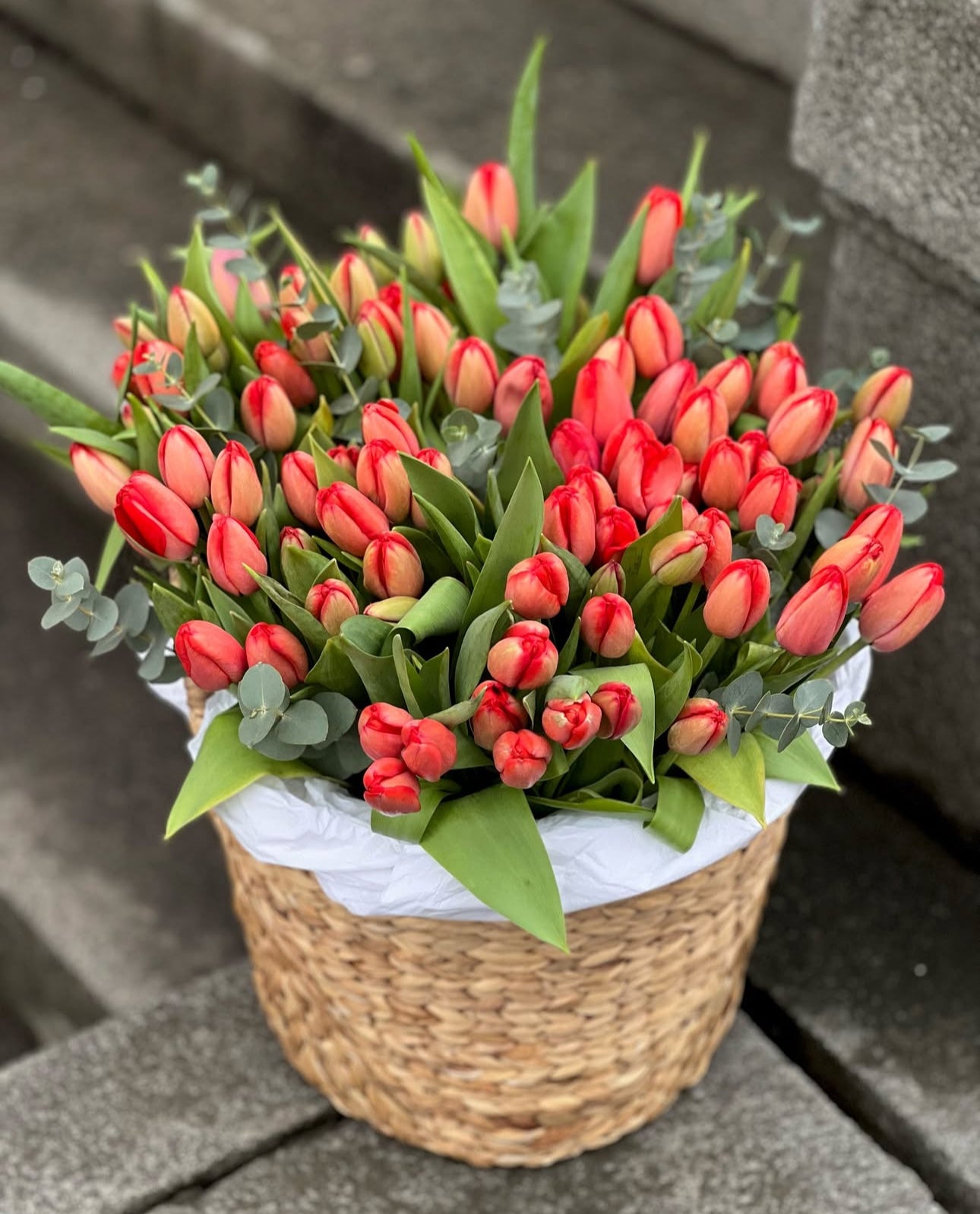 «Basket of 100 tulips»