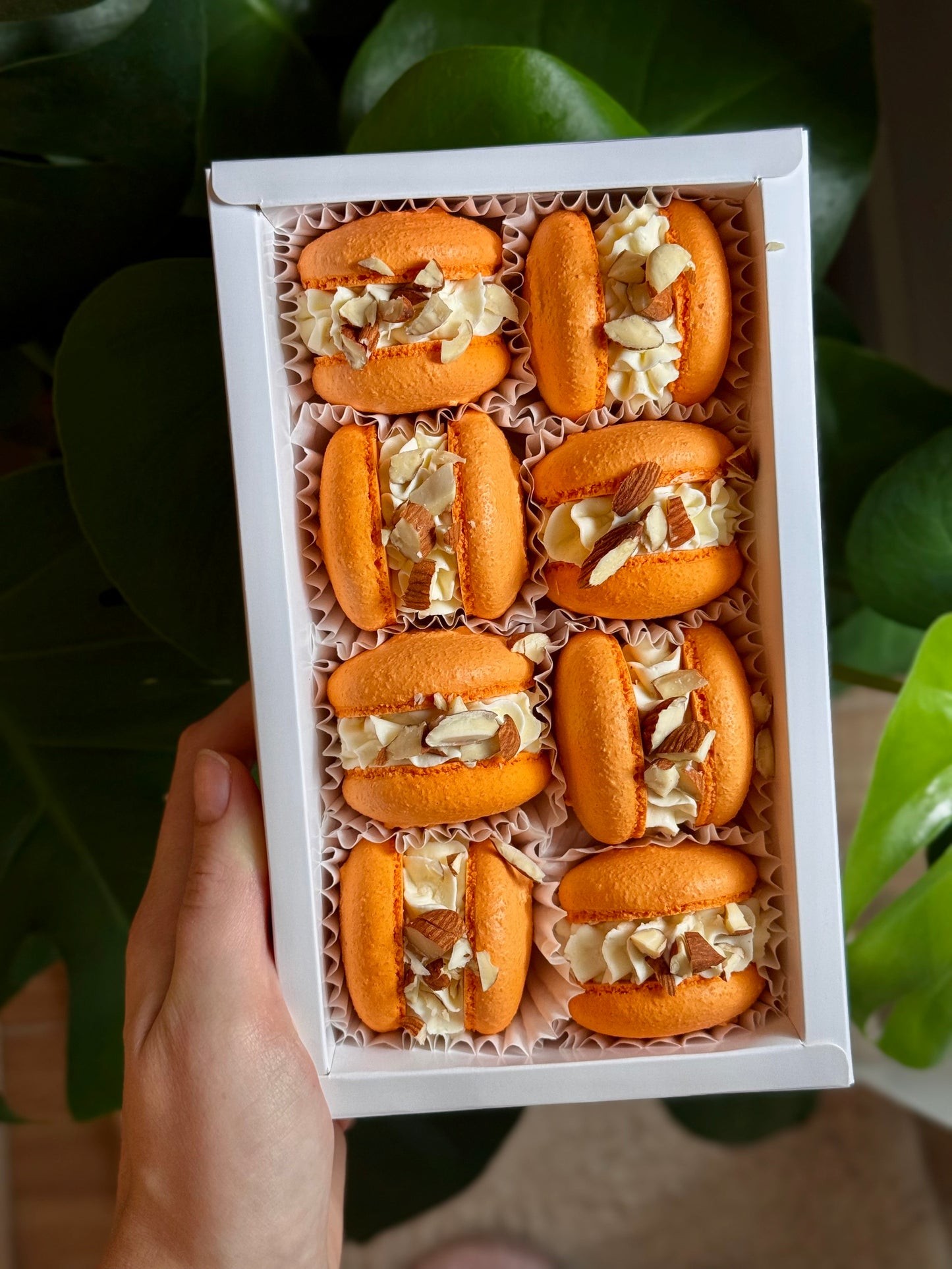 «Condensed Milk» macaroons