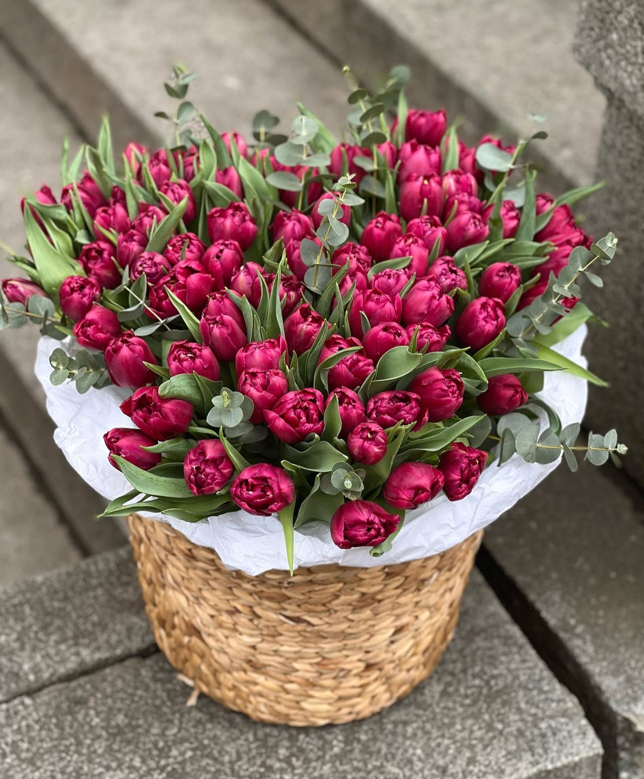 «Basket of 100 tulips»