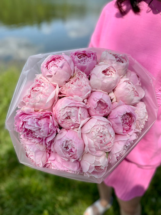Peonies “Sara Bernhardt”