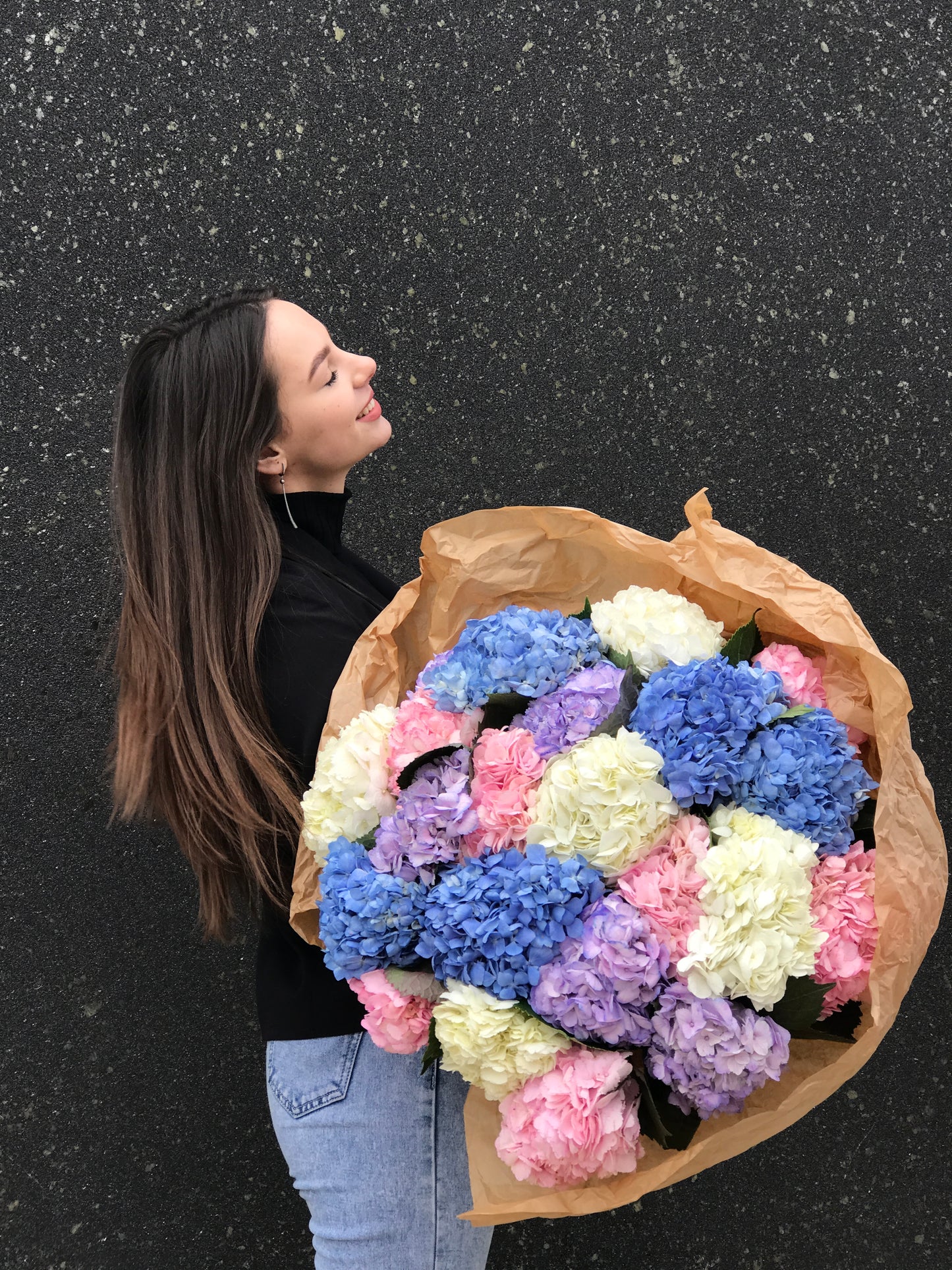 “Happiness” of hydrangeas