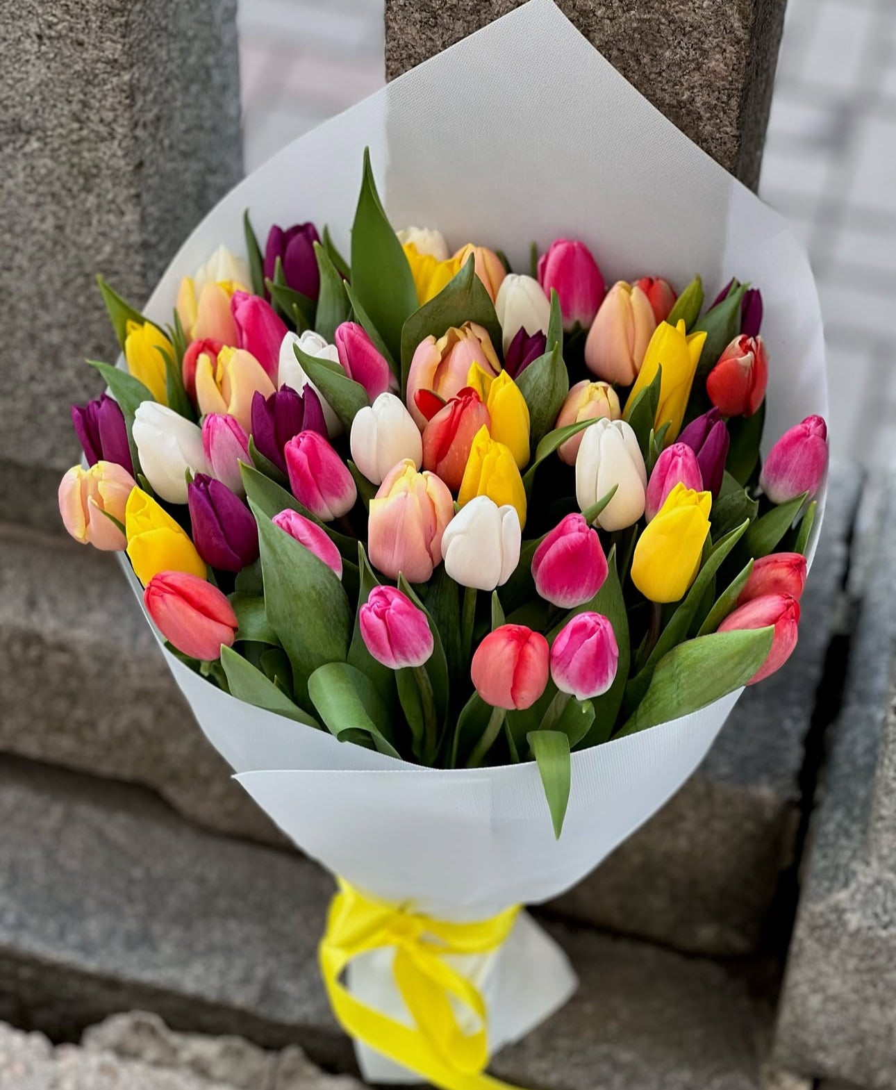«Mix of tulips»